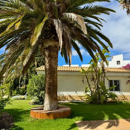 Casa Lilo, En Jardin Grande,con Gran Piscina, Con Pergola Y Barbacoa Вилла